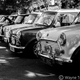 Illustration for article titled Get me some Spotted Dick!: Pictures from the All British Motor Show